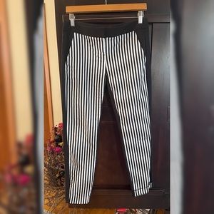Express Pants